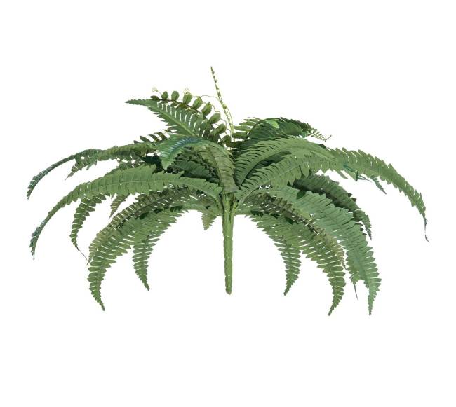 2 vnt. dirbtinių Bostono paparčių 35 šakos9