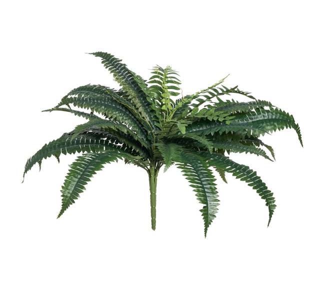 2 vnt. dirbtinių Bostono paparčių 35 šakos10