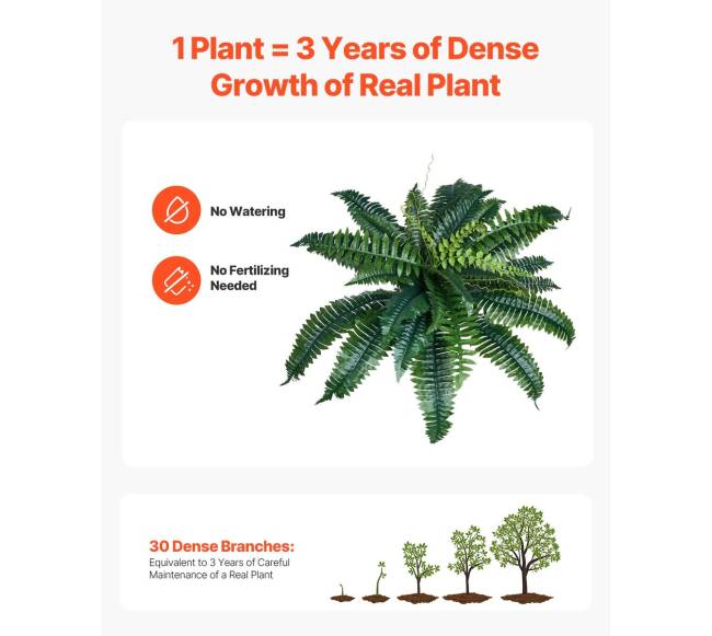 Dirbtiniai Bostono paparčiai 2 vnt.3