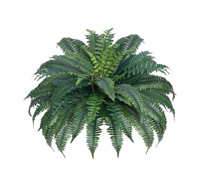 Dirbtinės Bostono papartys su 50 šakų rinkinys0