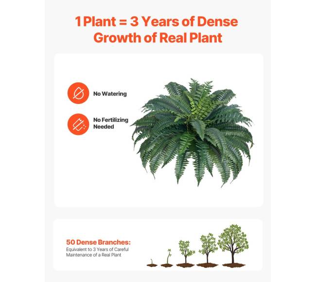 Dirbtinės Bostono papartys su 50 šakų rinkinys3