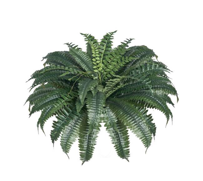 Dirbtinės Bostono papartys su 50 šakų rinkinys8