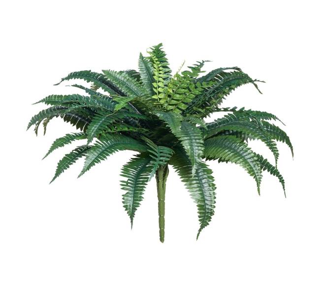 Dirbtinės Bostono papartys su 50 šakų rinkinys10