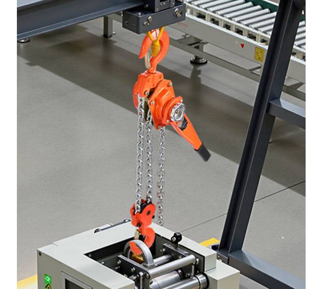 6 tonų svirtinis grandininis keltuvas su 6 m grandine7