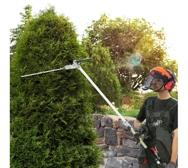 Benzininis gyvatvorių trimeris 2 ciklų 26CC7