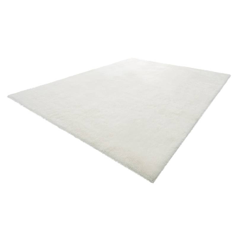 pūkiniu kilimu vidaus namams 2.44x3.05 m, slysti neleidžianti danga0