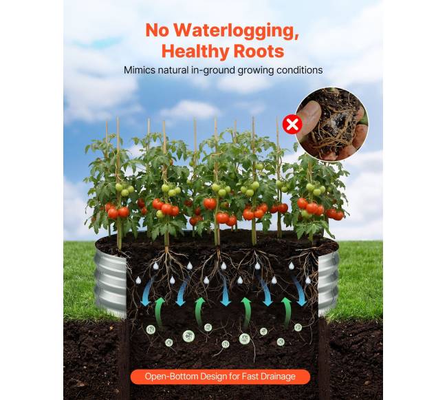 cinkuoti pakelti sodo loviai, ovalūs3