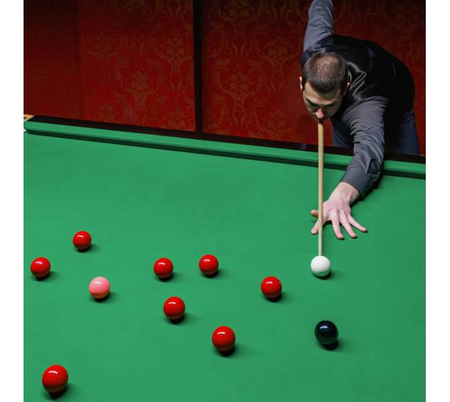 Snukerio lazda su prailginimu ir dėklu7