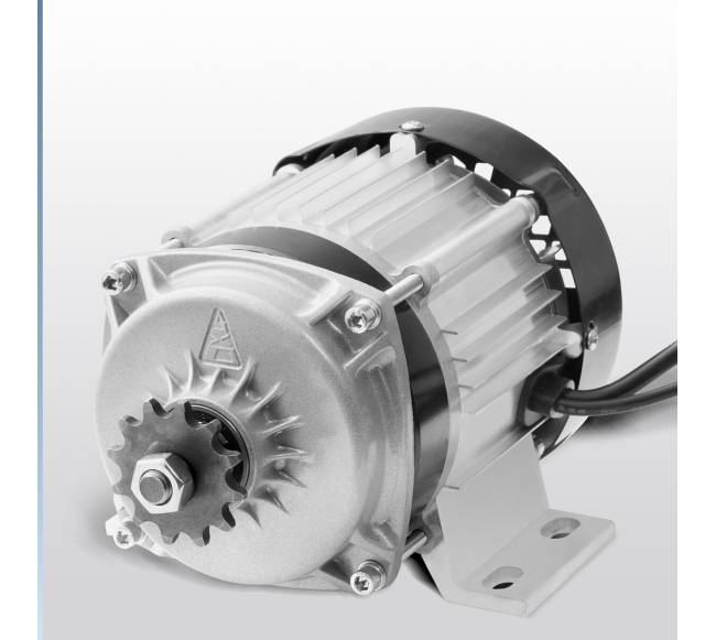 500W elektrinis bešepetėlinis DC variklio rinkinys7