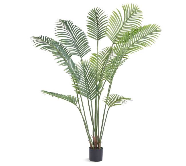 Dirbtinė palmė, 1,8 m aukščio, PE medžiaga9