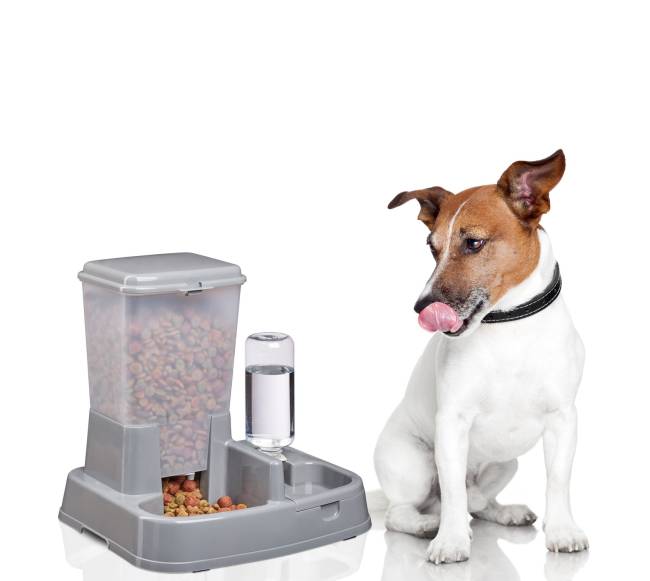 2in1 šėrykla ir vandens dozatorius2