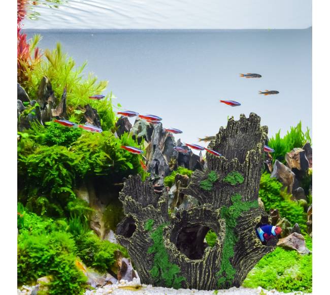 Akvariumo dekoracija, medžio kamienas4
