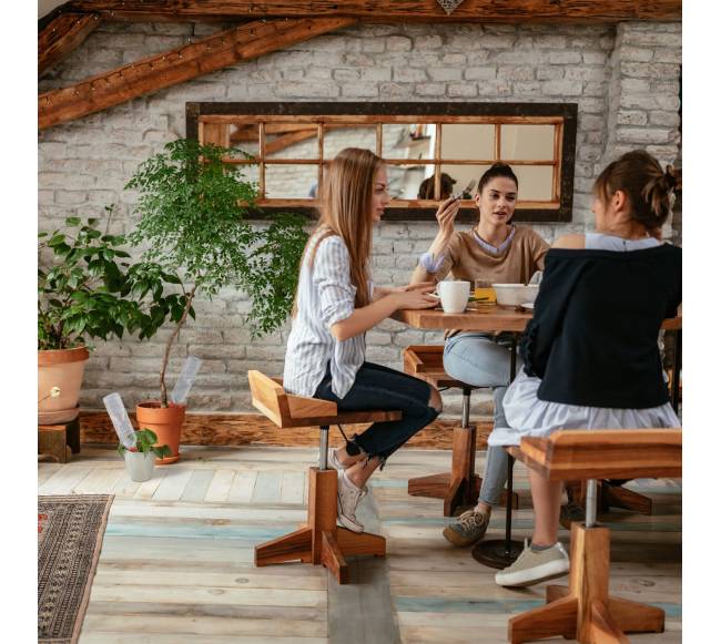 6 molinių laistymo kūgelių rinkinys2