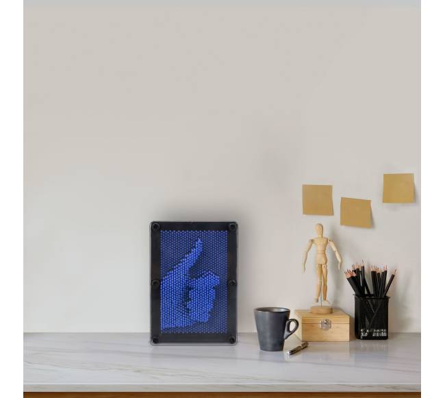 3D vinių paveikslas Pinart4