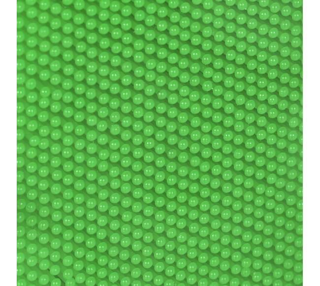 3D vinių paveikslas Pinart6