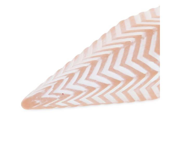 4 molinių laistymo kūgių rinkinys Zig-Zag6