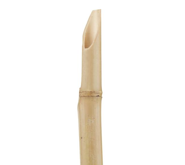 10 sodo fakelų rinkinys 40cm7