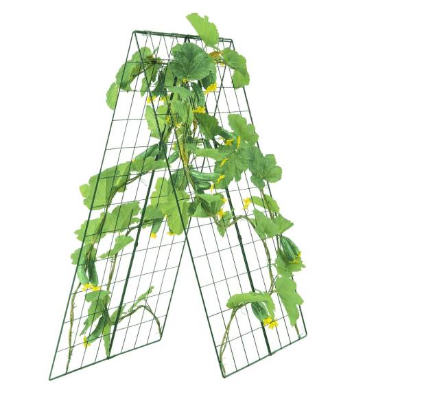 Metalinė a-formos agurkų atrama sodui9