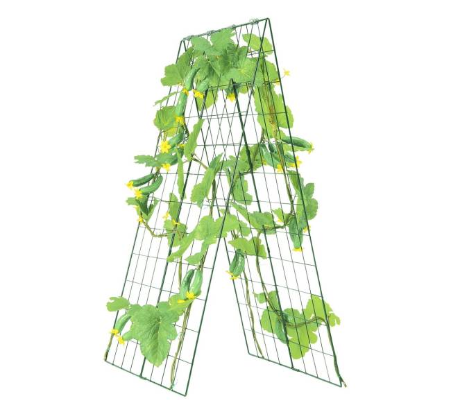 Metalinė a-formos agurkų atrama sodui10