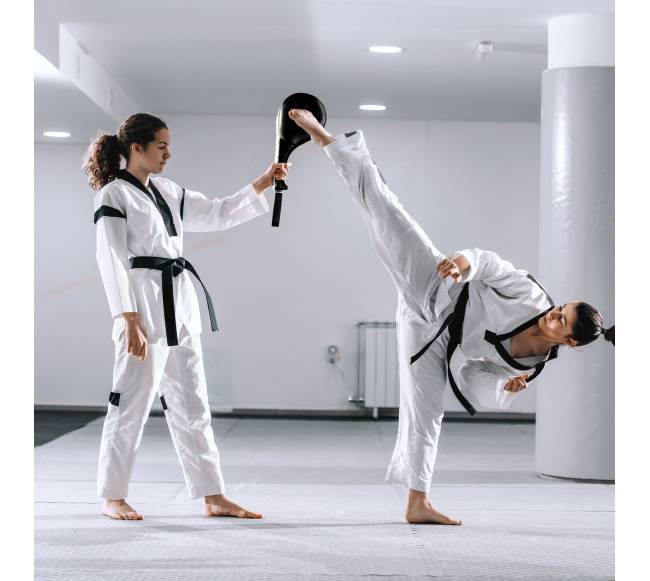 2 taekvondo spardymo pagalvėlių rinkinys2