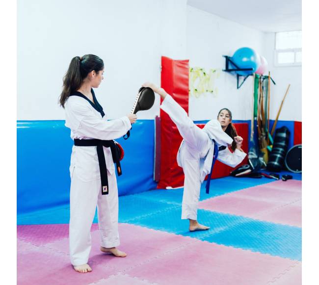 2 taekvondo spardymo pagalvėlių rinkinys4