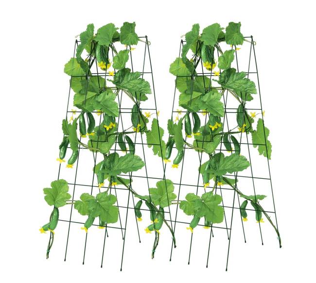 Sulankstoma metalinė agurkų atrama sodo darbams0