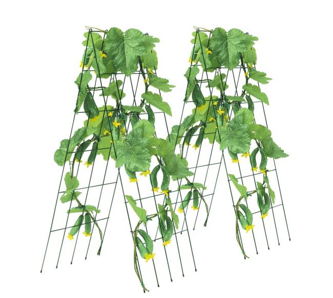 Sulankstoma metalinė agurkų atrama sodo darbams9