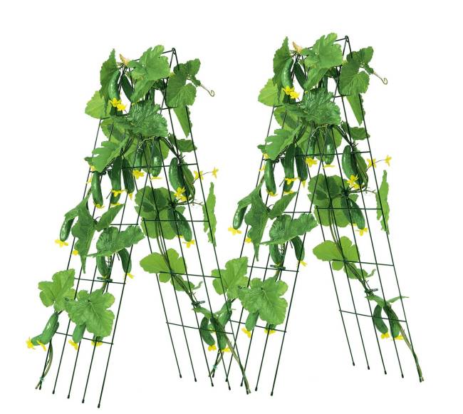 Sulankstoma metalinė agurkų atrama sodo darbams10