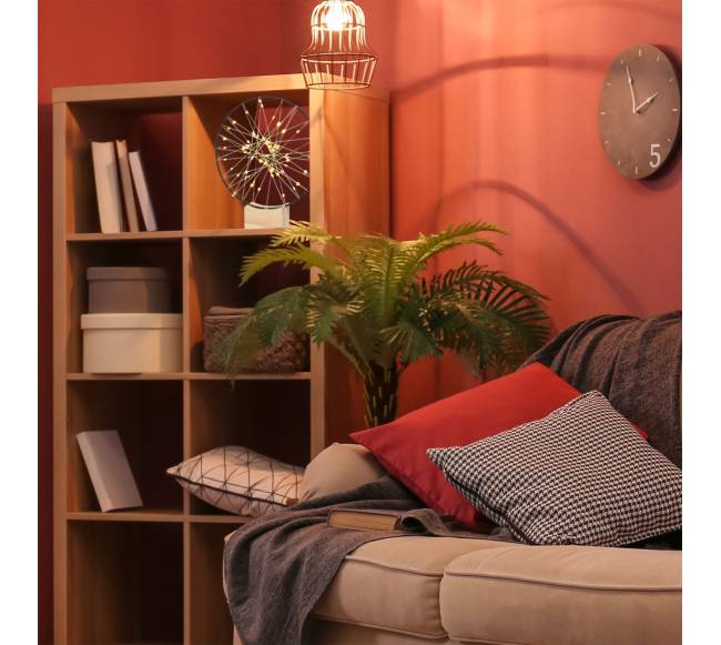 LED šviesos žiedo dekoracija 25 cm4