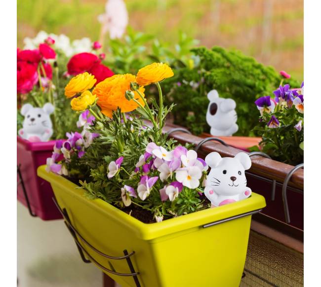 4 molinių kūginių laistymo antgalių rinkinys „Bunny“1