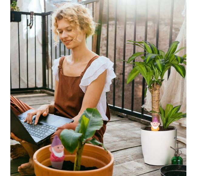 Molinių kūgių nykštukų rinkinys, 4 vnt.2