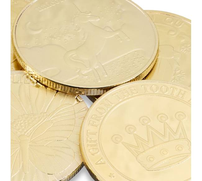 20 dantų fėjos monetų rinkinys6