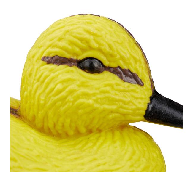 10 tvenkinio ančiukų rinkinys6
