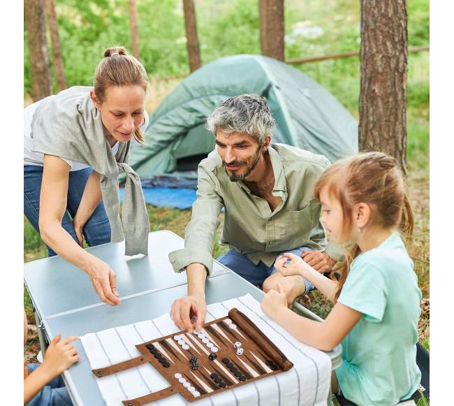 Kelioninis žaidimas Backgammon2