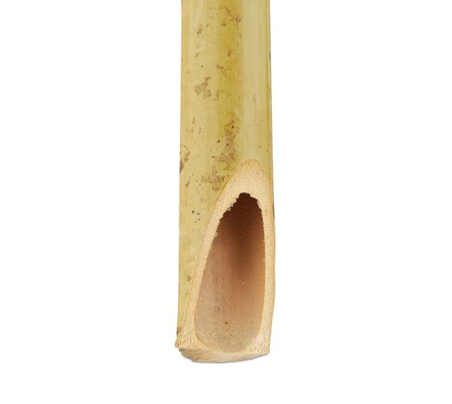 16 sodo fakelų rinkinys 90 cm5