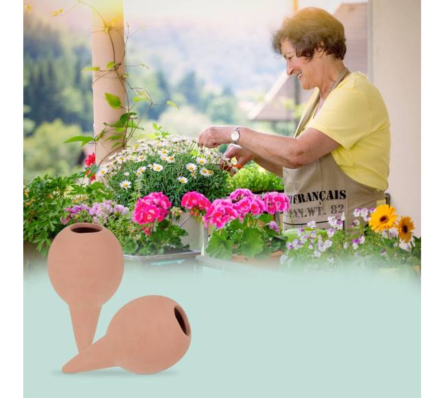 6 molinių laistymo kūgelių rinkinys5
