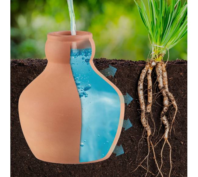 3 Ollas laistymo indų rinkinys 550 ml1