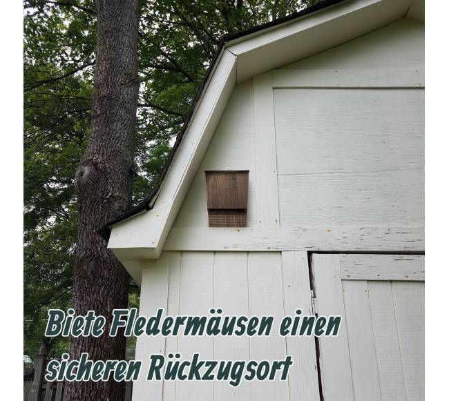 Ruda šikšnosparnių dėžutė, rinkinys 4 vnt.2