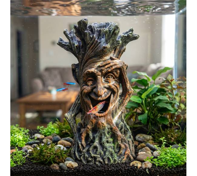 Dekoratyvinis akvariumo medis su veidu4