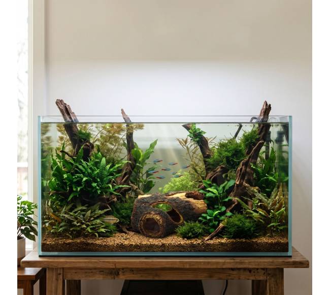 Akvariumo dekoracija: medžio kamienas2