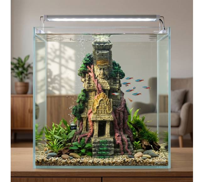 Akvariumo šventyklos dekoracija2