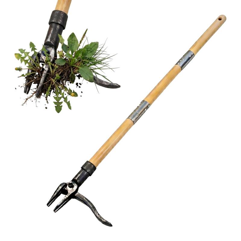 Ilgakotis piktžolių ištraukiklis0
