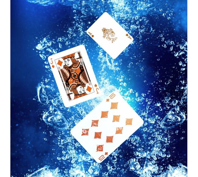 Plastikinės pokerio žaidimo kortos2