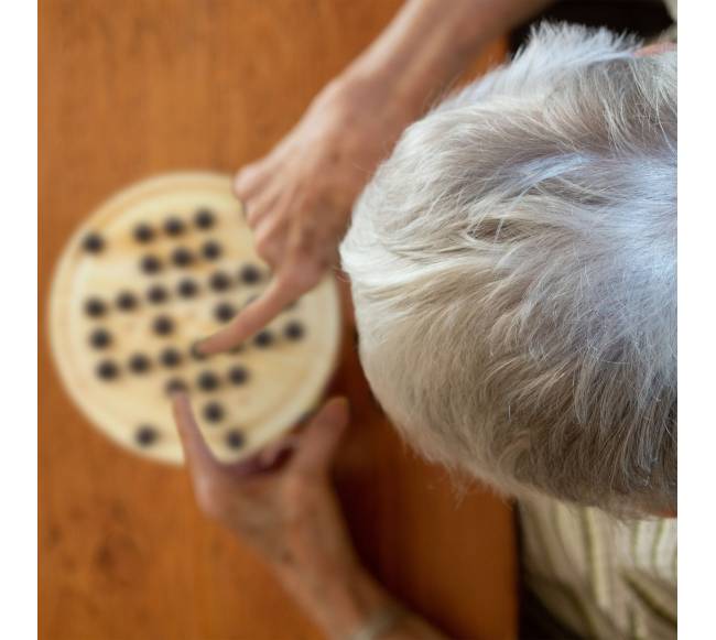Medinis solitaire žaidimas4