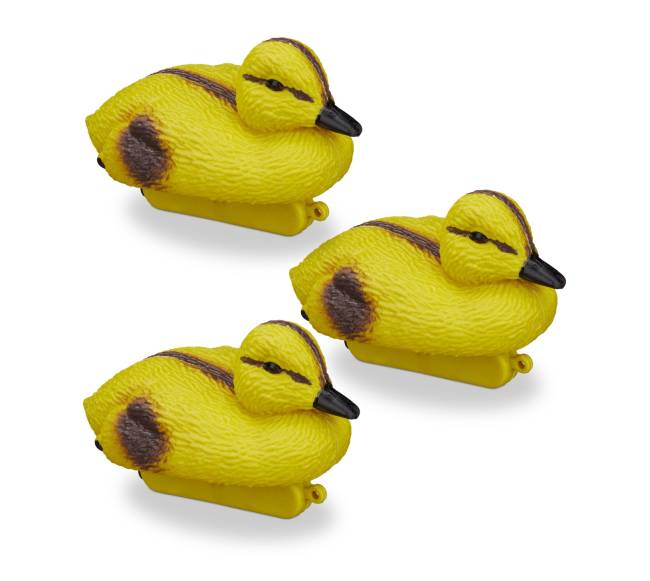 3 tvenkinio ančiukų rinkinys0