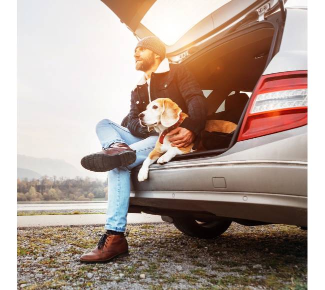 Apsauginis automobilio sėdynės užvalkalas šunims4
