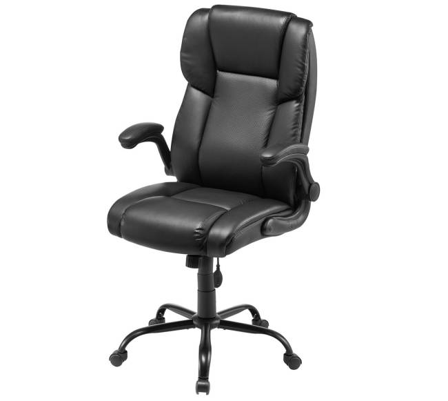 Vadovo kėdė su juosmens atrama0