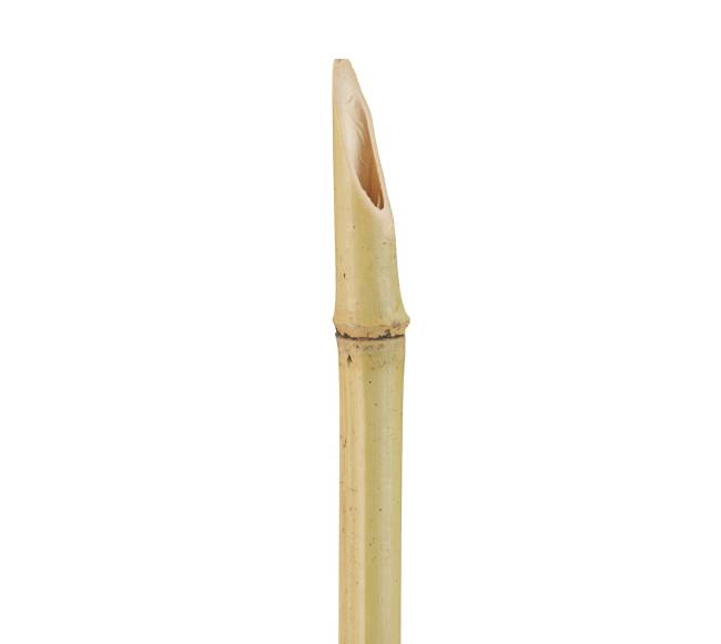 10 sodo fakelų rinkinys 80 cm7
