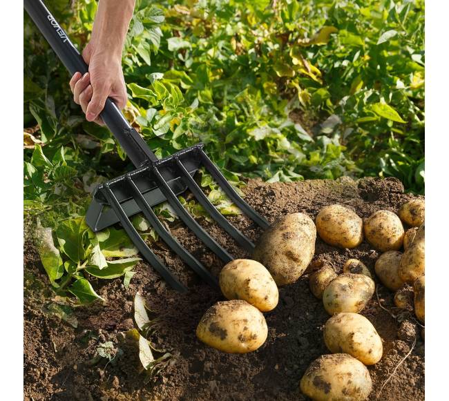 Penkių dantų sodo šakė su metaline rankena7