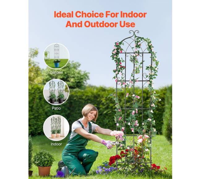 Metalinės sodo grotelės vijokliniams augalams5